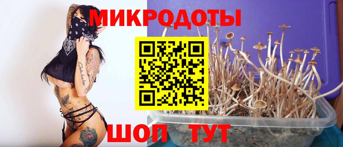 Гай  Псилоцибиновые грибы мицелий  Вход с VPN  Галлюциногенные грибы Cubensis 
