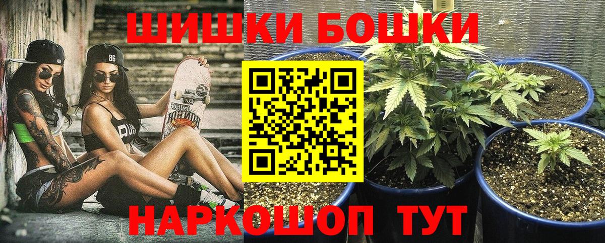 Конопля OG Kush Гай